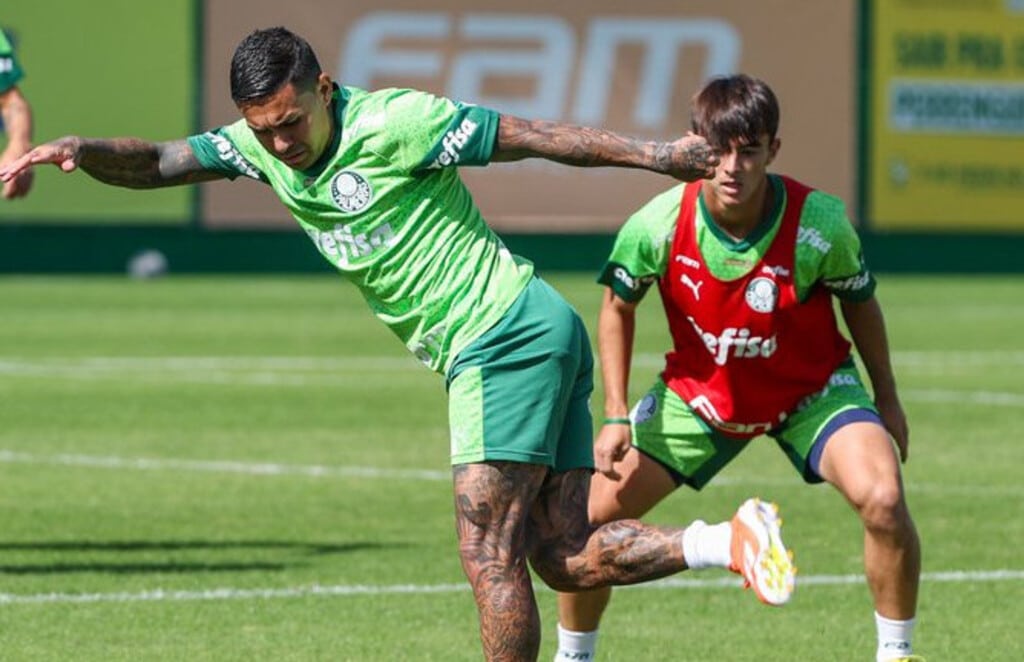 Palmeiras visita o lanterna Atletico GO para seguir na cola do líder