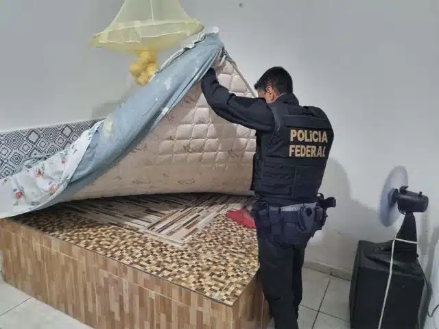 policia federal - operação semoventes