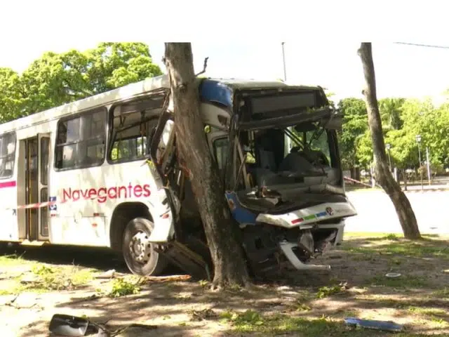 onibus desgovernado bate em árvore em jp 2024