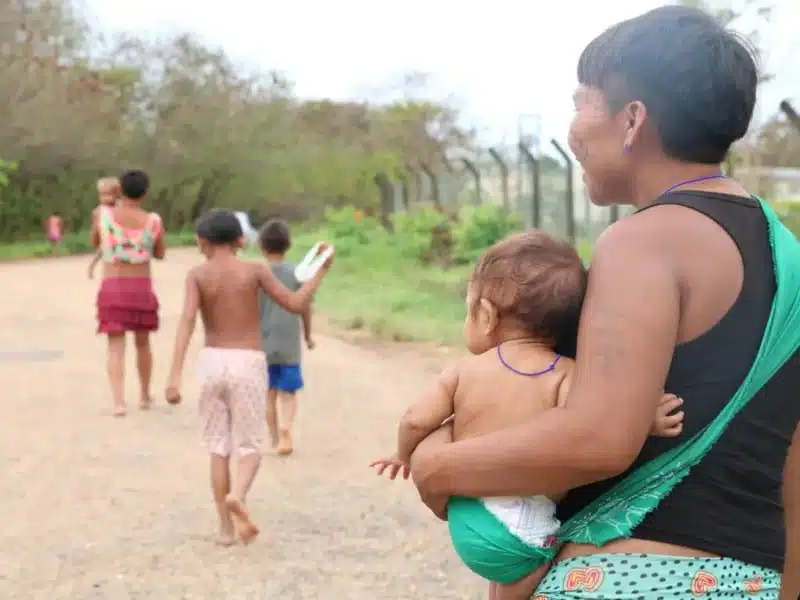 terra Yanomami