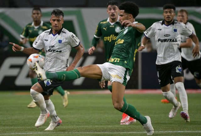 palmeiras na libertadores 2024