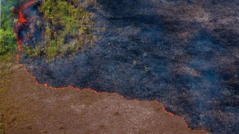 amazonia incendio