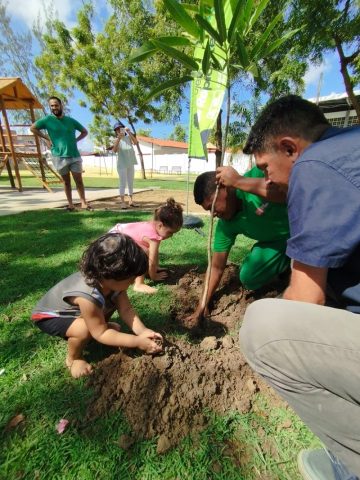 2024 mudas replantadas em joão pessoa