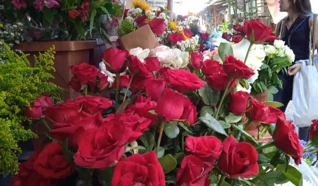feira de flores campina grande