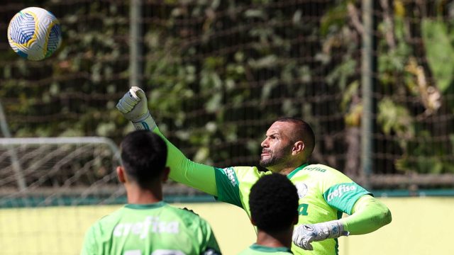 werton goleiro do palmeira