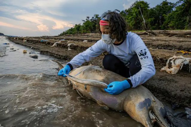 amazônia - mudanças climáticas