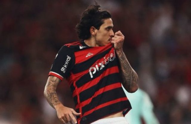 flamengo pedro