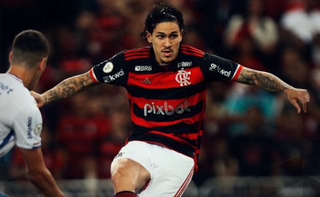 flamengo pedro