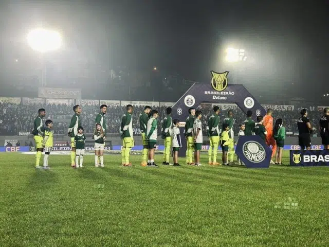 palmeiras