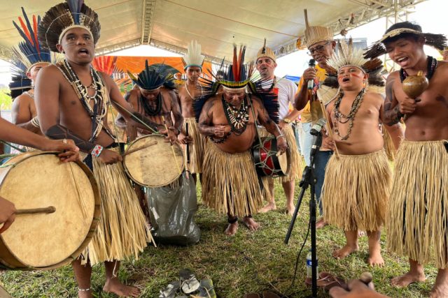 indigena paraiba marcação