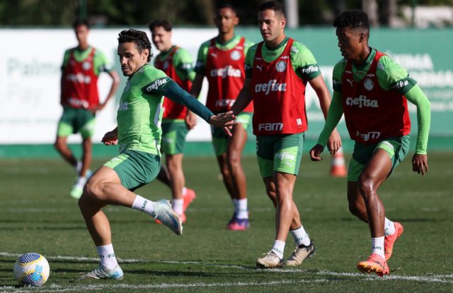 palmeiras treino veiga