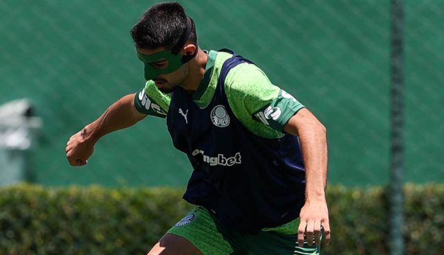 flaco lopes palmeiras