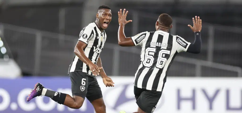 botafogo libertadores