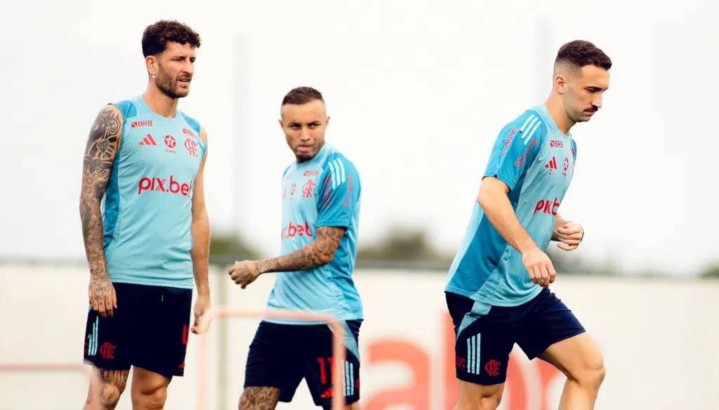leo pereira e ortiz