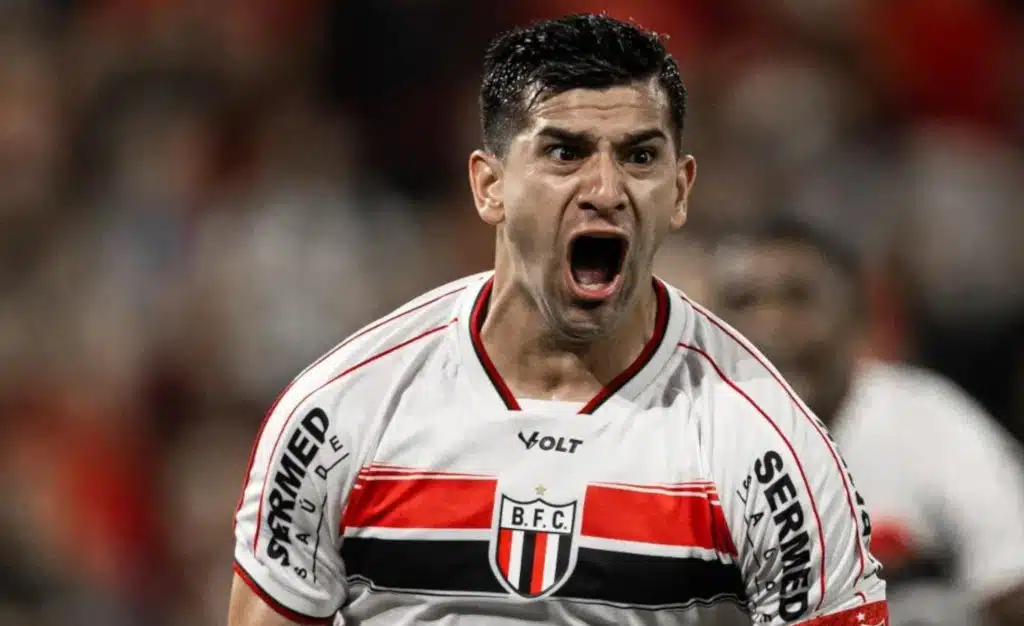 botafogo-sp serie b