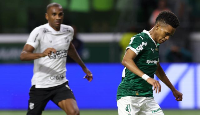 estevam palmeiras