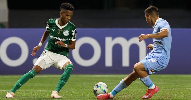 palmeiras estevam