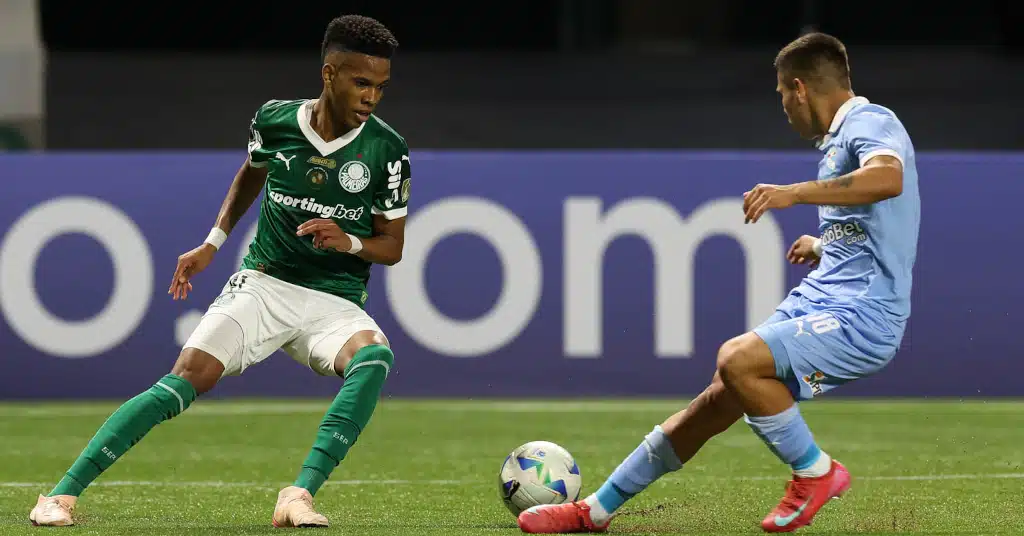 palmeiras estevam