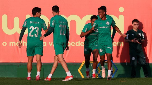 palmeiras estevão