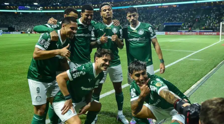 palmeiras