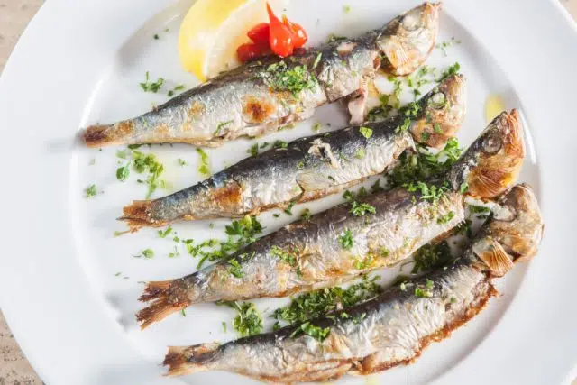 Sardinha