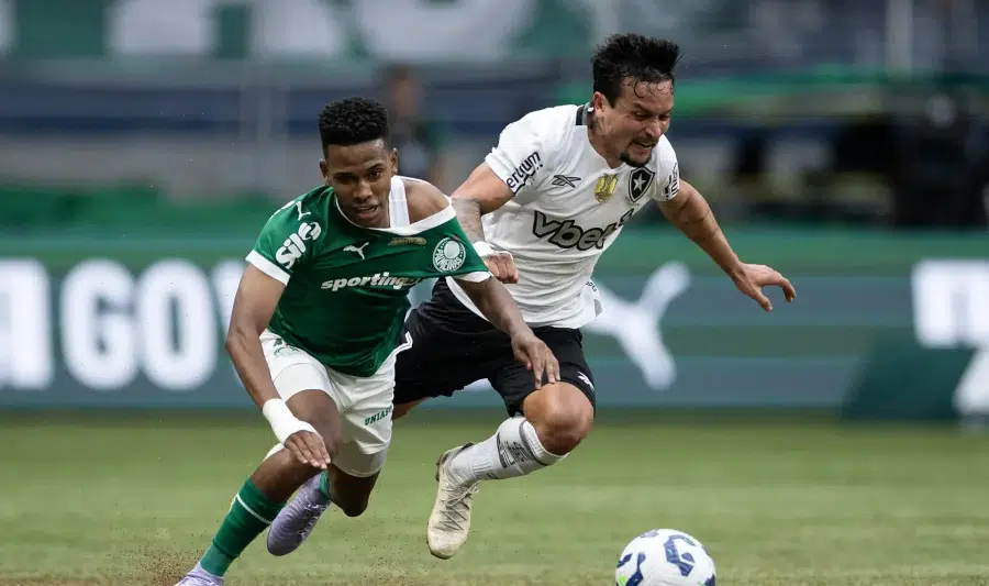 botafogo x palmeiras