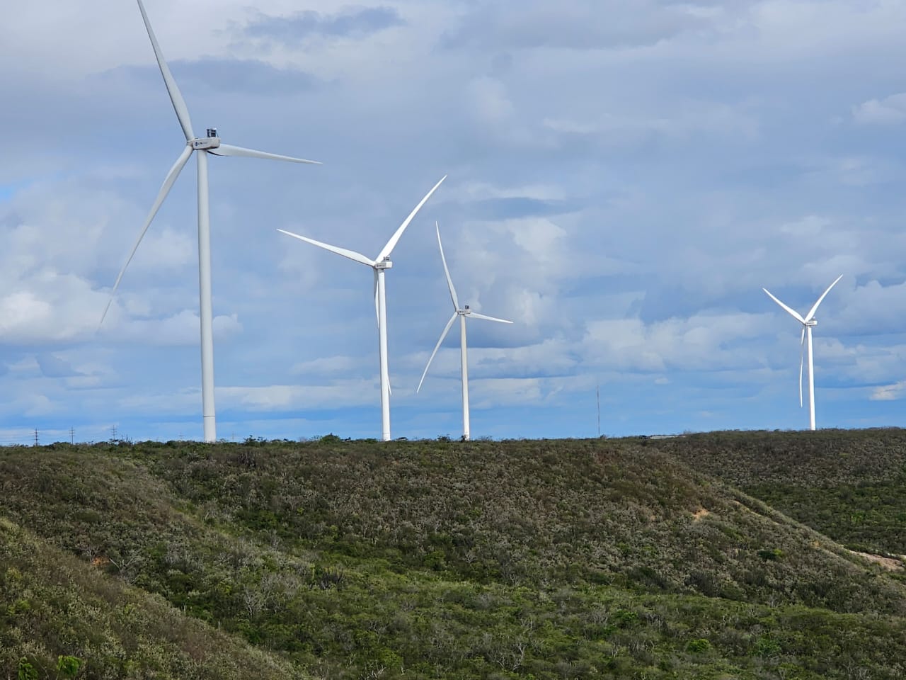 Projeto mapeia caminhos para economia verde no Nordeste