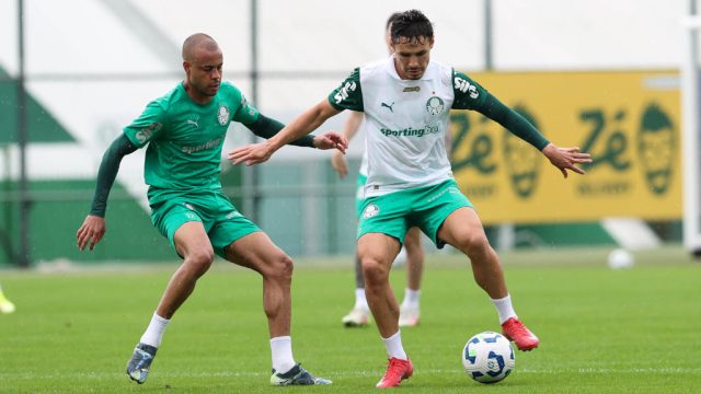 palmeiras