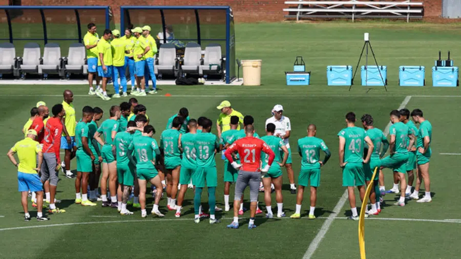 palmeiras treino