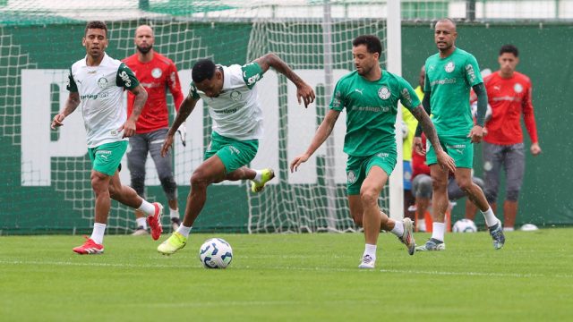 palmeiras treino