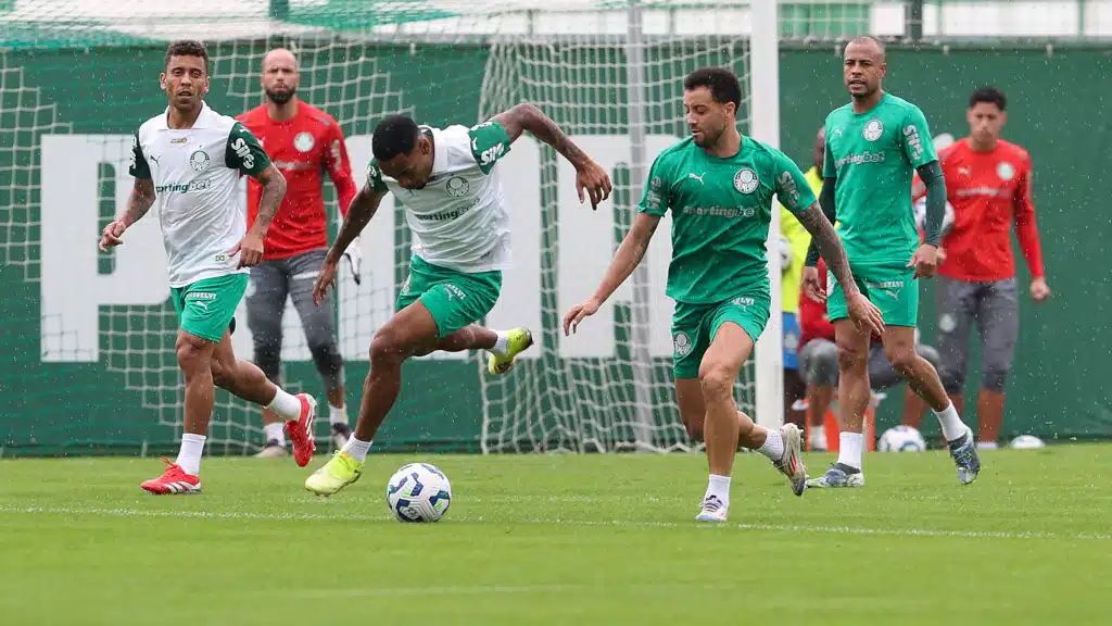 palmeiras treino