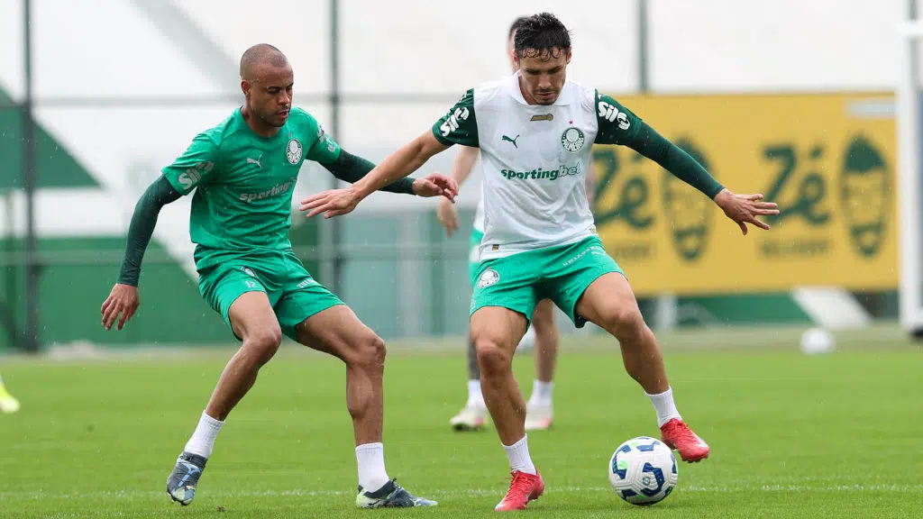 palmeiras