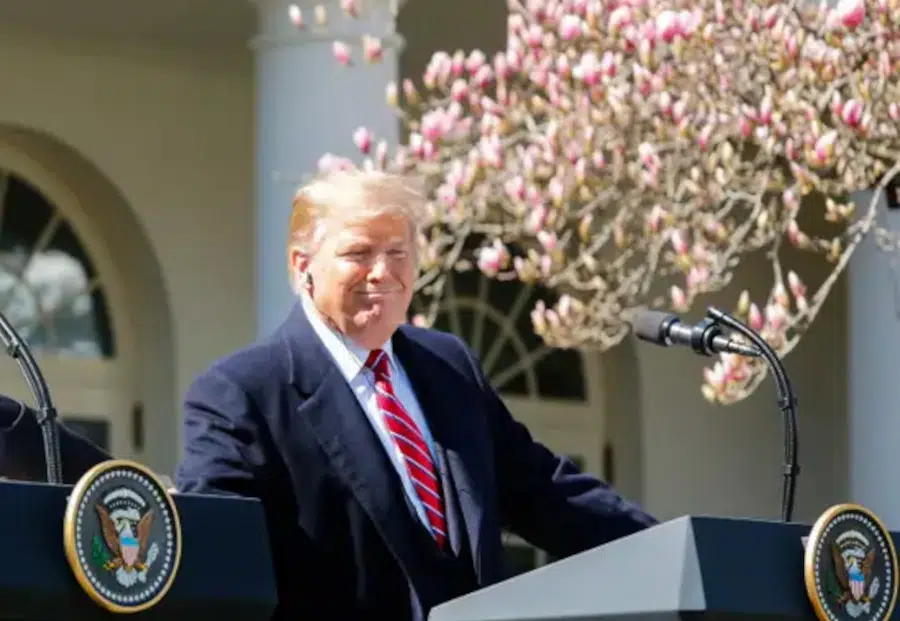 trump