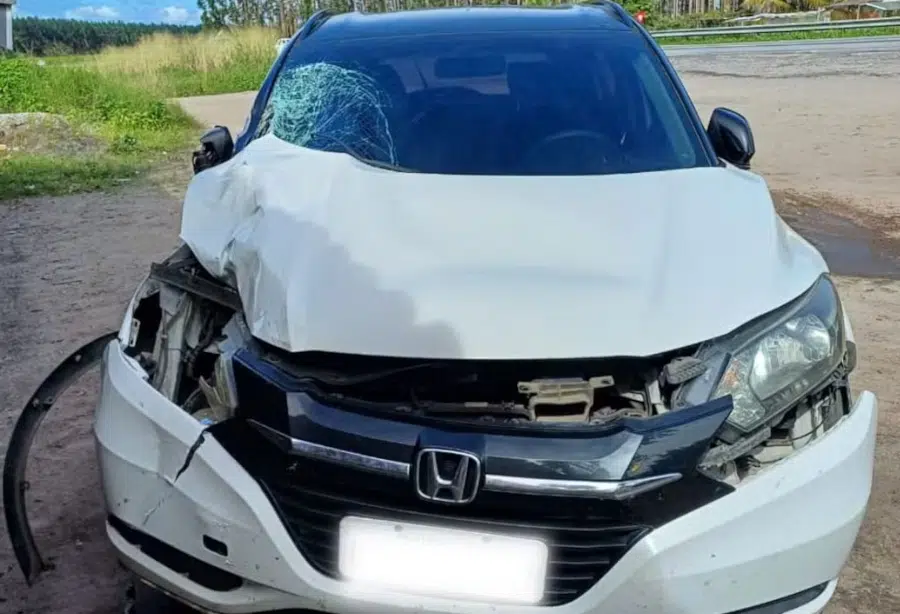 carro atropelamento