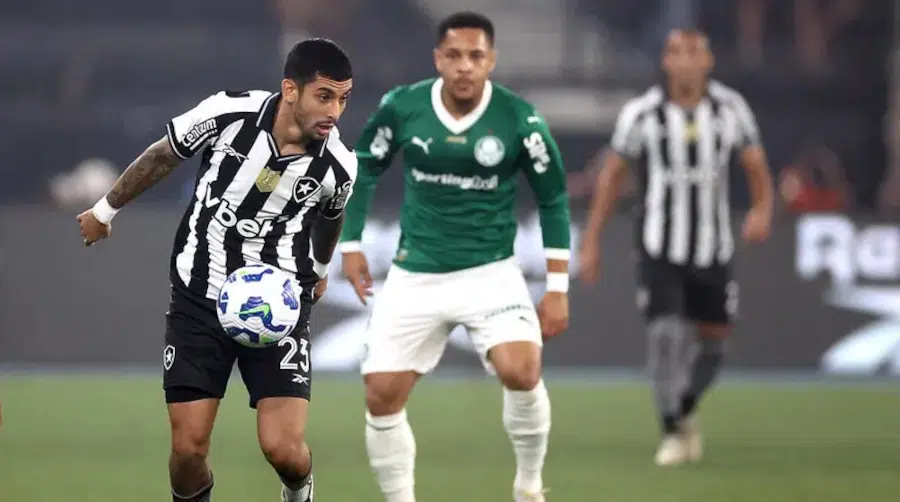 botafogo x palmeiras