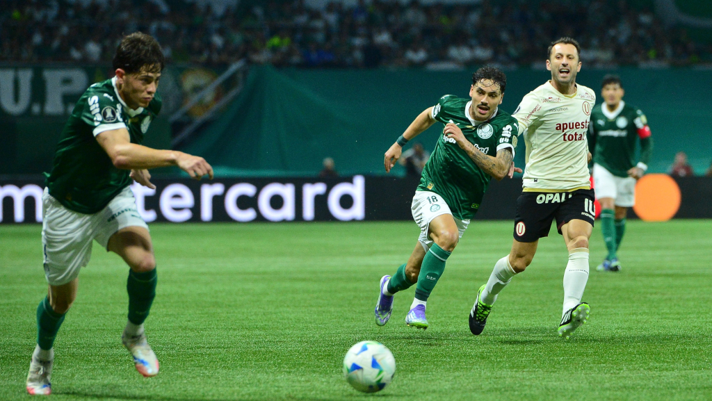palmeiras