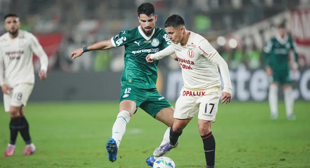 palmeiras libertadores 2025