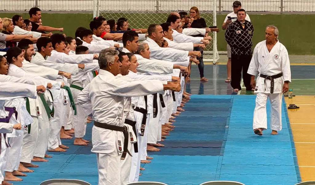workshop de artes marciais