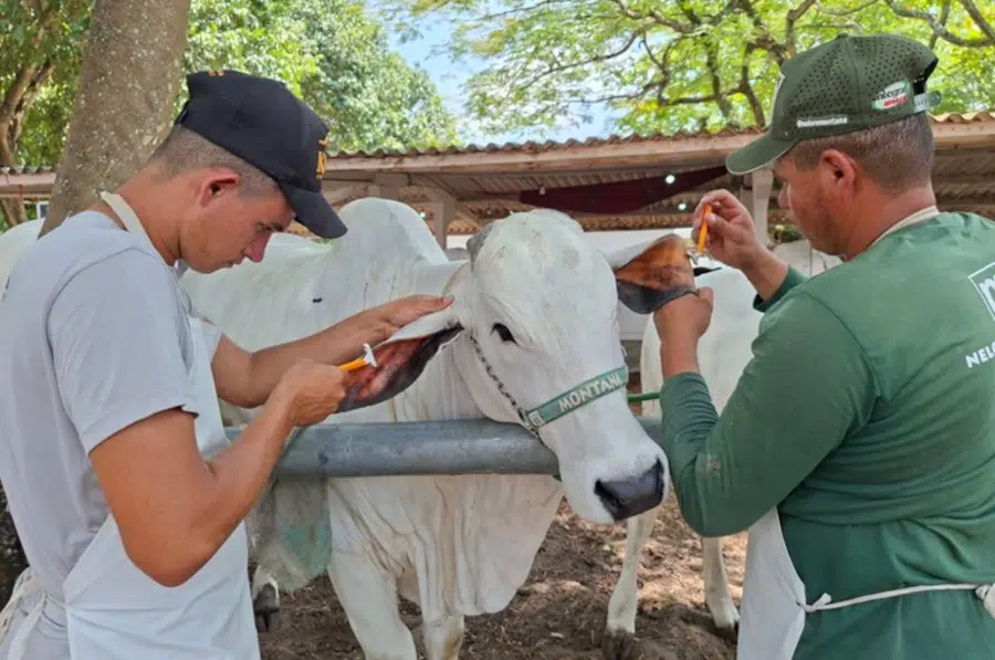 agrofeira paraiba