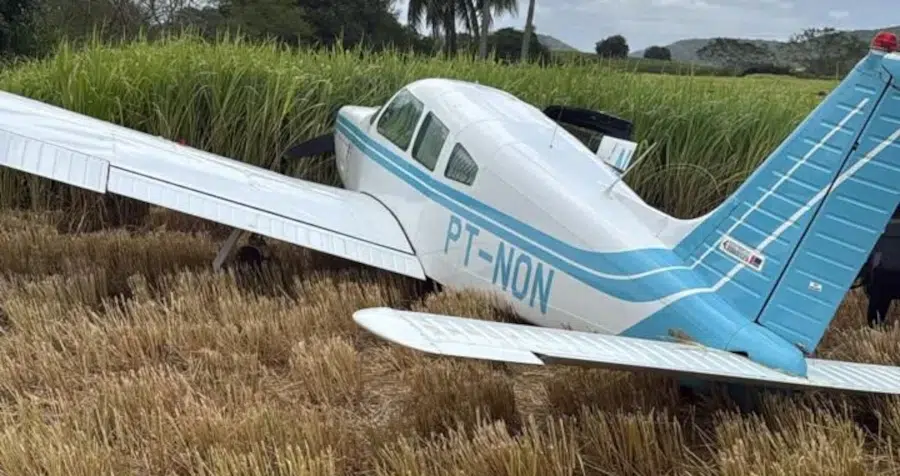 aviao reproduÇÃo