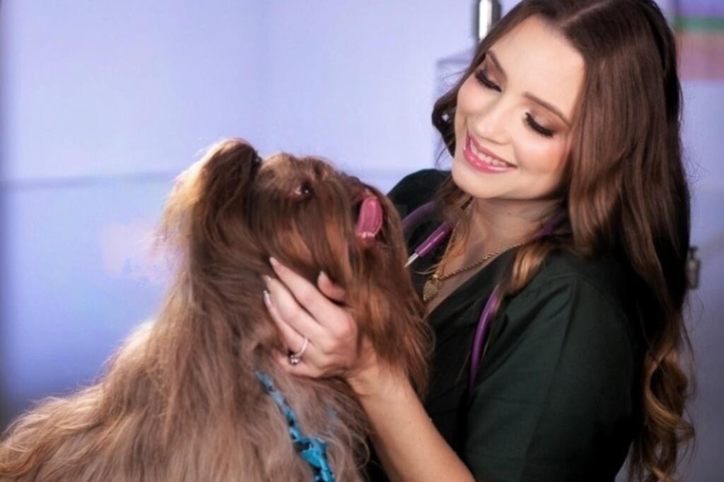 Pet shop pode ser responsabilizado por doença, acidente ou morte de animal durante serviço