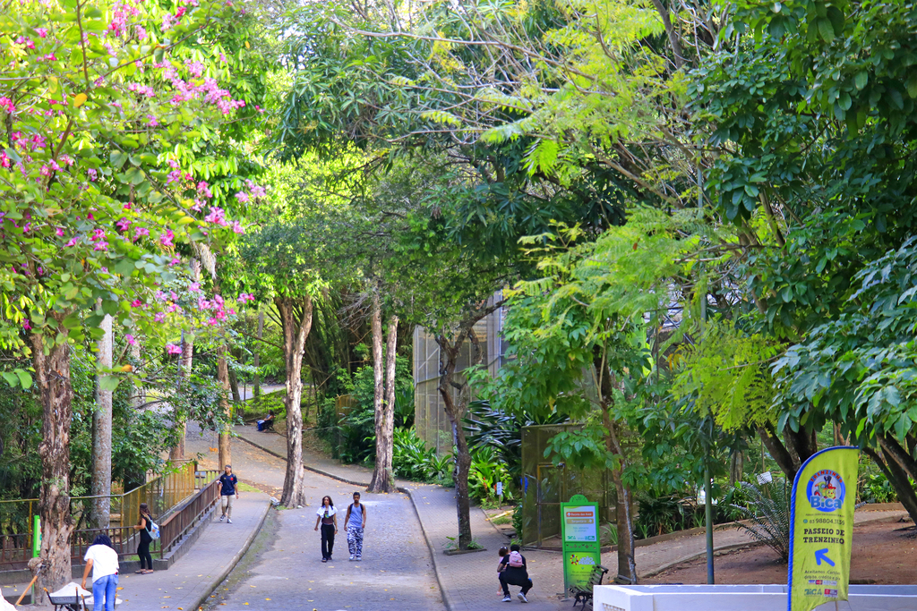 Parque Arruda Câmara funcionará normalmente no domingo de eleição