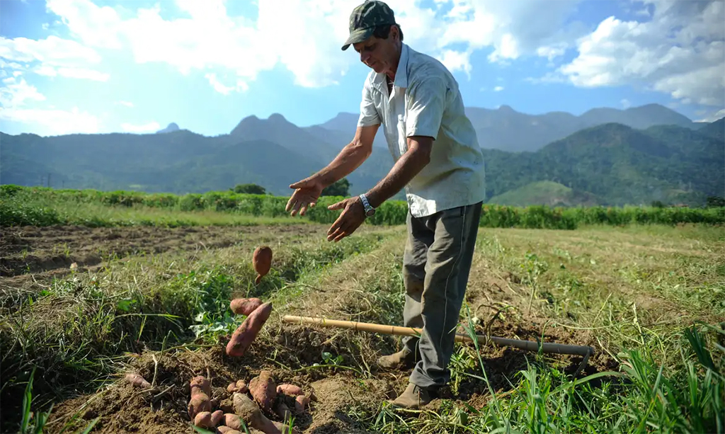 Renegociação de dívidas rurais terá juros menores e prazo de até 10 anos