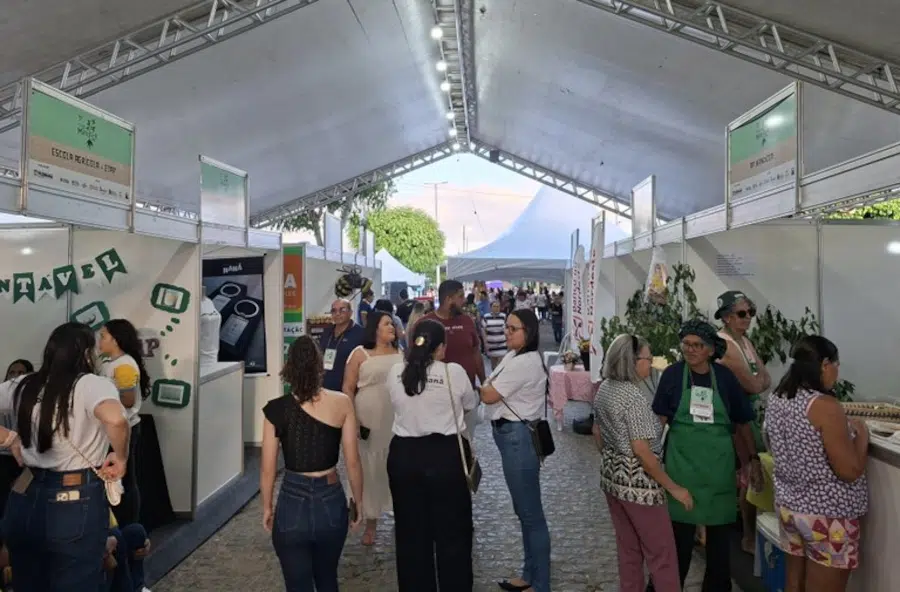 festa da mandioca em puxinanã