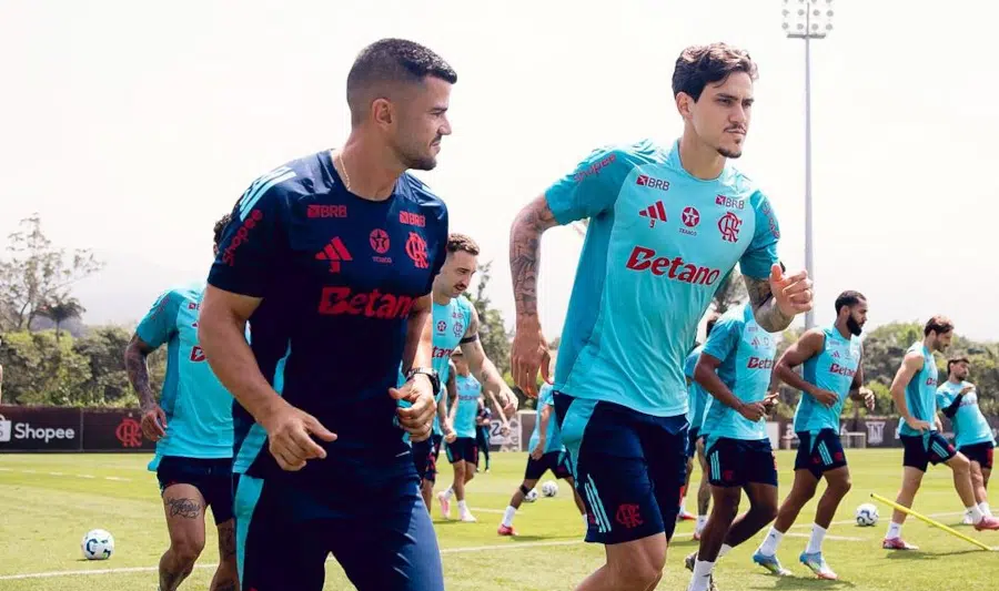 pedro flamengo