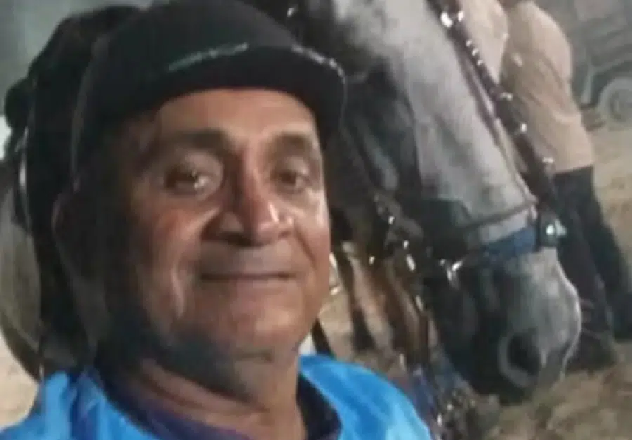 vaqueiro conde