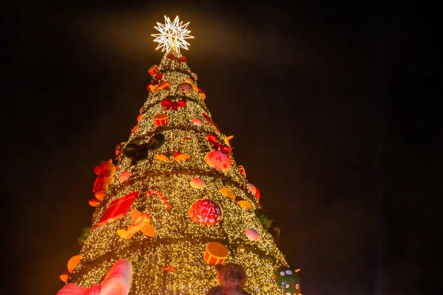 arvore natal secom sp