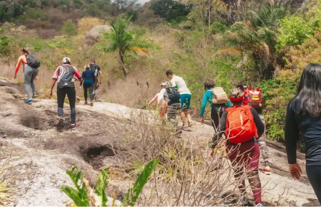 caminho das ararunas