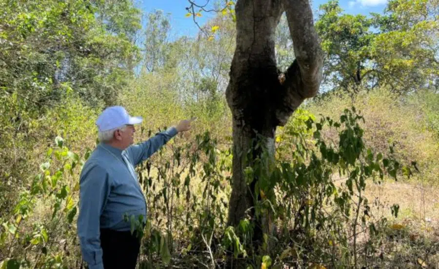 dom dulcenio reserva