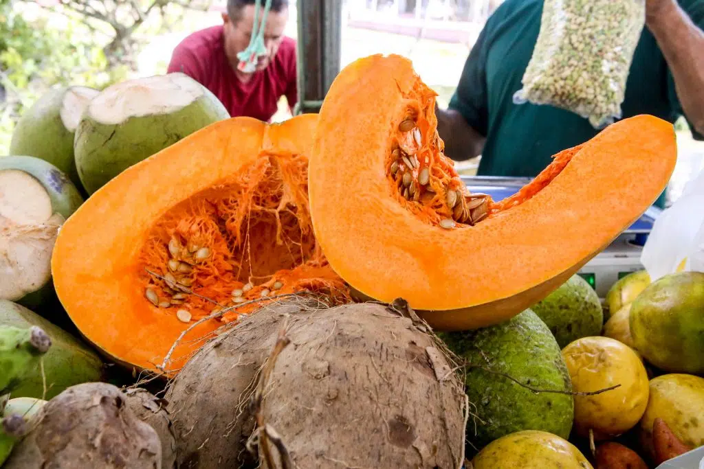 feira da agricultura familiar